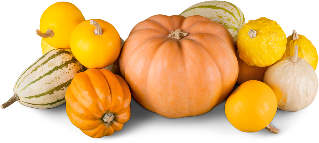 Decorative Gourds Of Fresh Vegetables